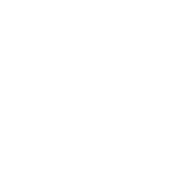 Enfoque en columna y cráneo
