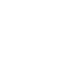 Seguimiento y acompañamiento continuo